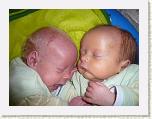 Florian (blond) und Julian (dunkel).JPG